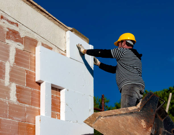 Best Insulation Maintenance and Repair in Quitman, TX