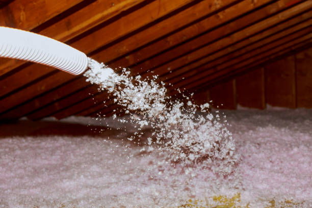 Best Spray Foam Insulation in Quitman, TX