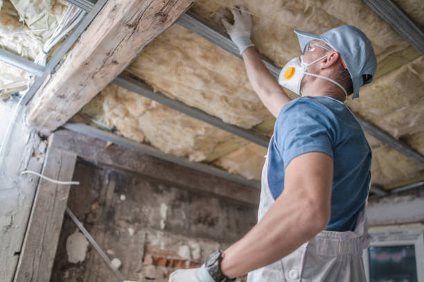 Best DIY Insulation Kits and Guidance in Quitman, TX
