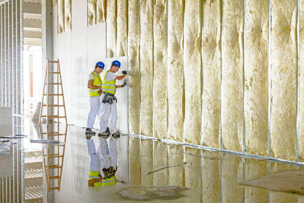 Best Fiberglass Insulation in Quitman, TX